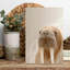 Art mural animal doux et naturel arctique-129146552