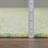 Addison Eastman Variegated Solid Lime-68068355