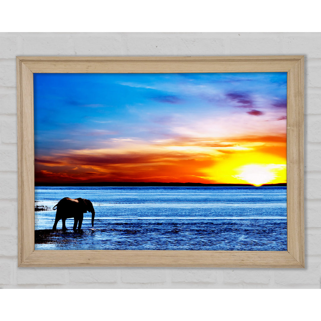 Gerahmtes Bild Elephant Ocean