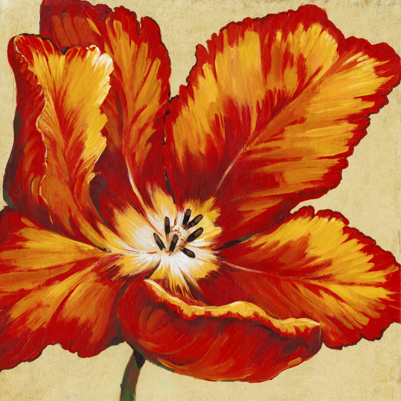Parrot Tulip I by Timothy O' Toole - Wrapped Canvas Painting, 30cm H x 30cm W