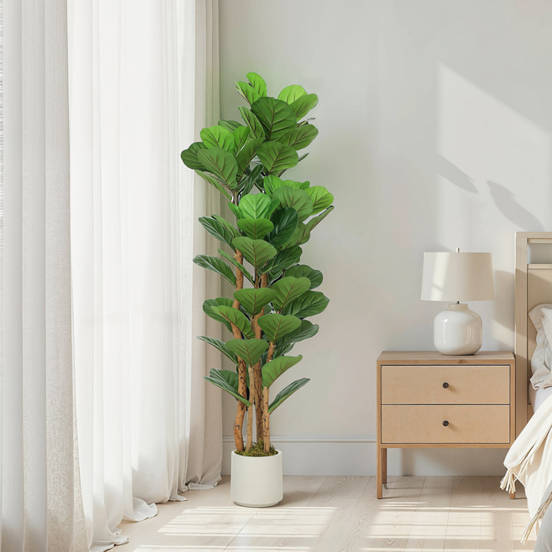 Plant, 150 cm x 50 cm