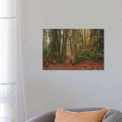 A Fairytale Like Forest by Louis Ruth - Wrapped Canvas Print