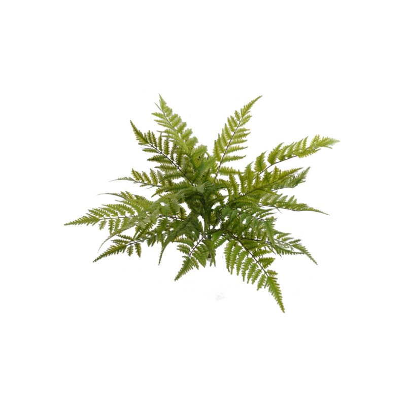 28'' Tall Fern Plant