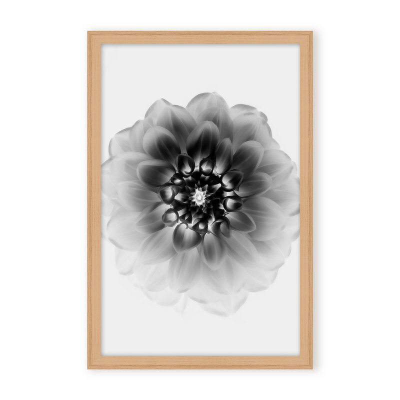X-Ray Print by Alex Zhao, 48" H x 32" W x 1.125" D, Black, Framed Matted Print