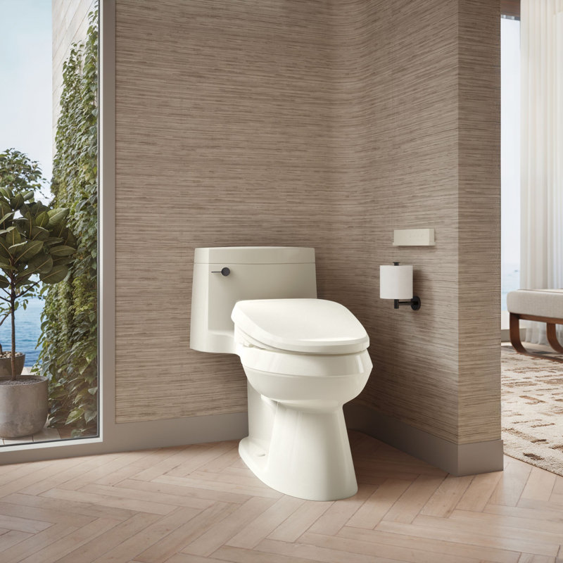 PureWash E820 Elongated Bidet Toilet Seat, Heated Bidet for Existing Toilets with Remote Control, Biscuit