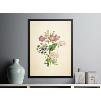 Andrews Print