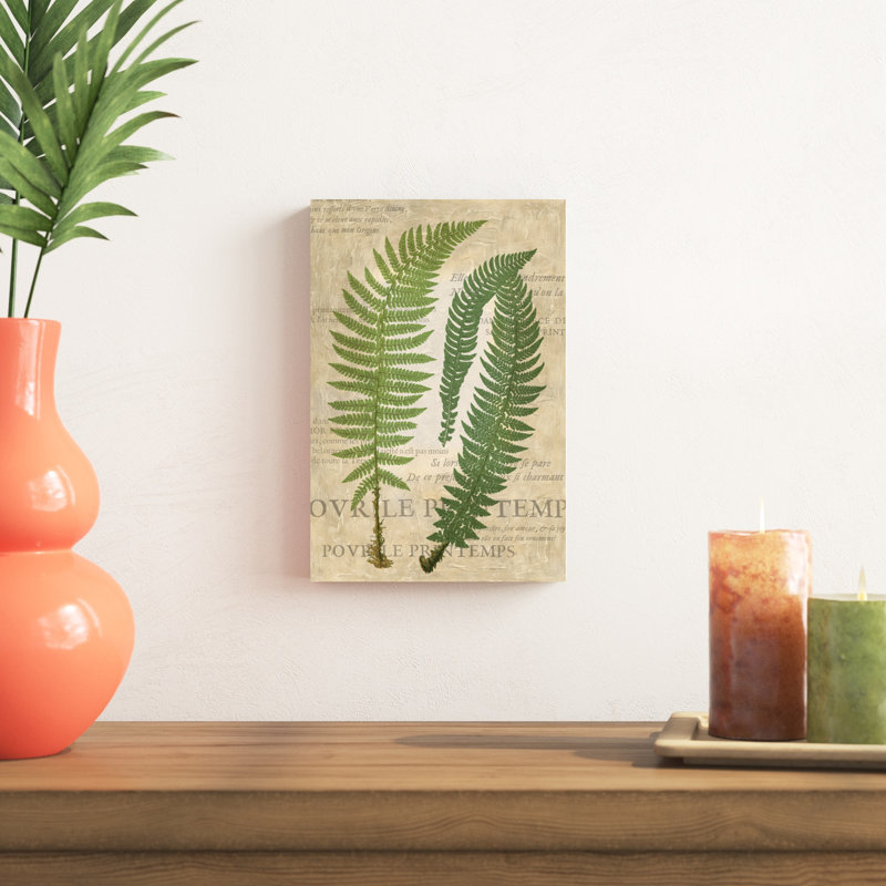 «Fern Folio III», impression sur toile, H 12 po x l 8 po