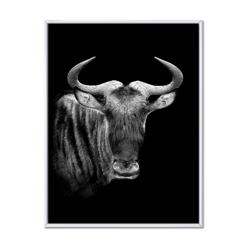 Portrait monochrome de gnous - photographie sur toile, Cadre flottant blanc, H 40 po x l 30 po x 1,5 po