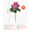Geranium Arrangement