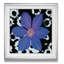 «Black and Bloom III», reproduction de peinture à l'huile-32971576-40500986