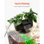 Fish Tank Aquarium Smart Arch Clear GPPS 3 Colour Self Cleaning-185269242