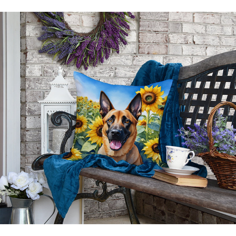 Other/No Pattern Outdoor Throw Pillow, 18" H x 18" W