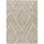 Tapis Ceajay ACN3071 Ikat lavable à la machine pour intérieur/extérieur-245016401-245016415