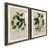 Papier, cadre noyer