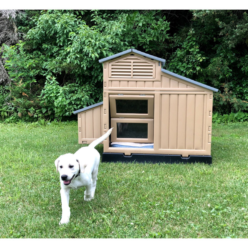 Niche pour chien Filoftia