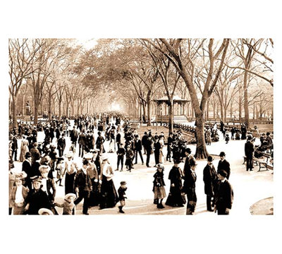 " Central Park: Panoramic View Of The Mall, C.1902 "