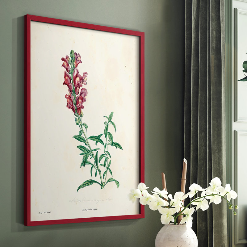 «Traditional Botanical I», reproduction encadrée - bois massif, Blanc, H 28 po x l 22 po