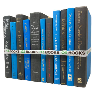 Livres décoratifs Skyline Charm - bleu et gris