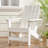 Adirondack Chair-1703076017