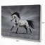 «Chestnut Horse in Motion», impression-29489946-35111552