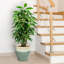 Jardinière extérieure Berlina-1293001909-1292973036