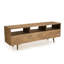 Carrion TV Stand for TVs up to 50"