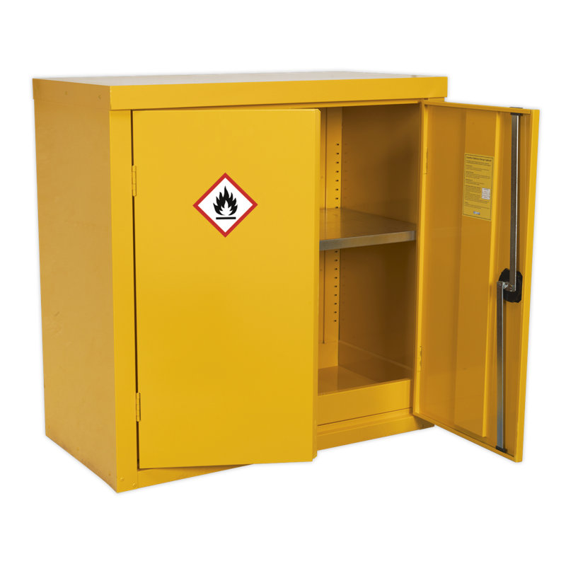 Robena Metal Safety Cabinet
