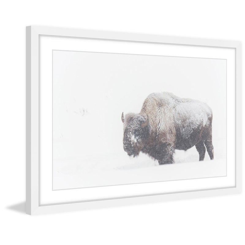 1 Piece Single Picture Frame Wall Art, 61cm H x 91cm W x 3.81cm D