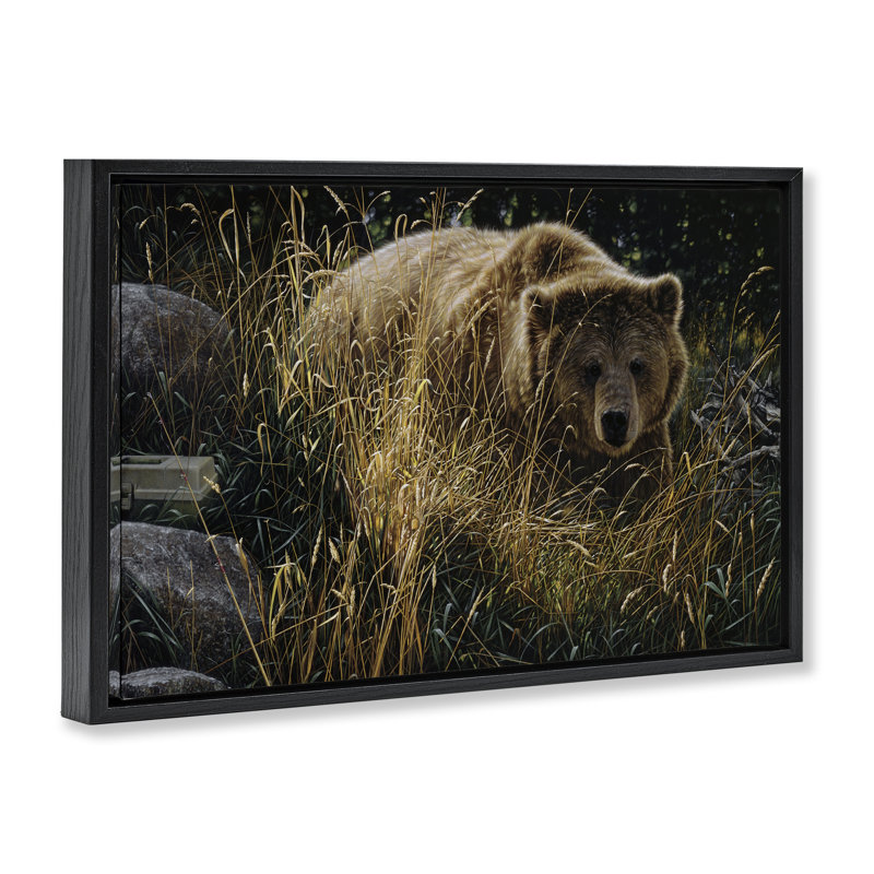 Cadre flottant Crossing Paths Grizzly Bear, design par Collin Bogle, Cadre flottant noir de jais, H 17 po x l 25 po