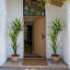 Arbre artificiel artificiel 78,74 po Dracaena-1884110528