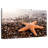 Orange Starfish-647804402