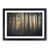 Black Framed