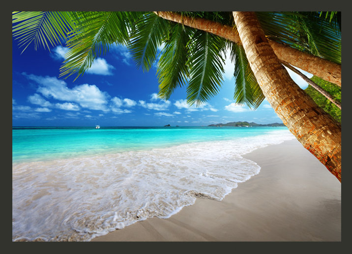 Tropical Island 2.45m x 350cm Wallpaper, 300 cm x 210 cm