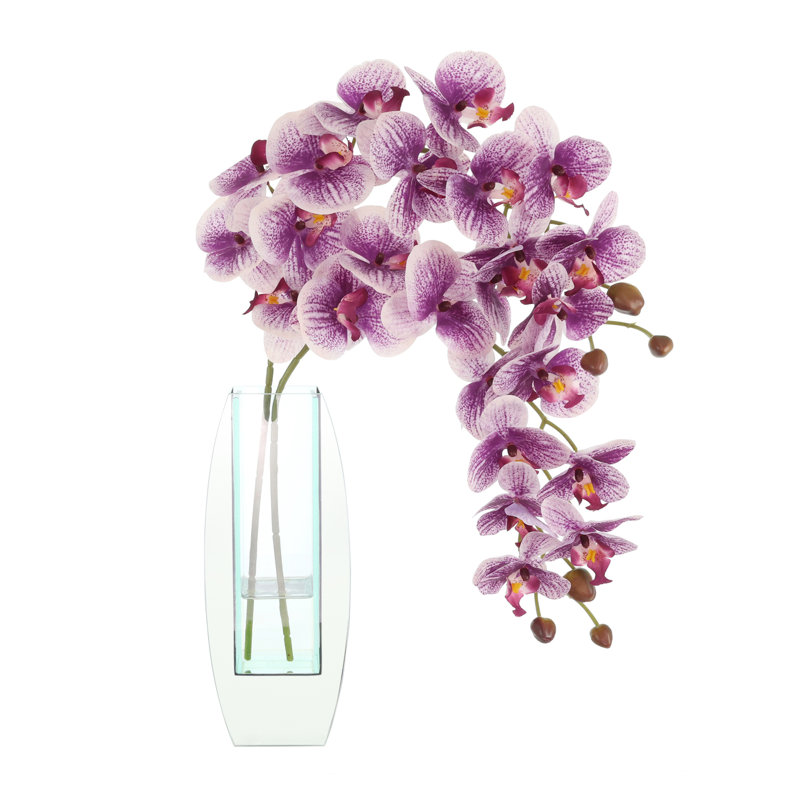 Orchidées Tania disposées dans un vase en verre, Clair, Mauve