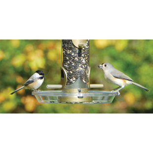 Mangeoire pour oiseau à tube de semence
