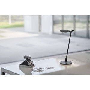 Splitty 17" Desk Lamp With USB