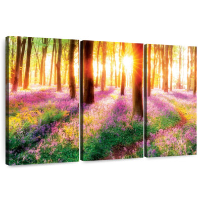 Harnek Sunlit Bluebell Forest