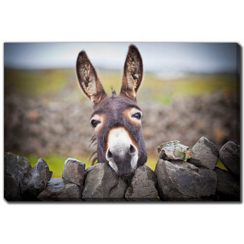 Art sur toile "Donkey Under The Rain", H 22 po x l 28 po