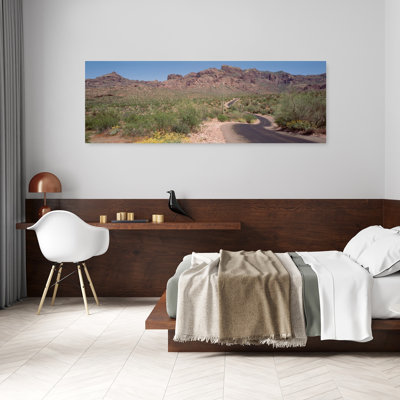 États-Unis, Arizona, Dreamy Draw Park, Cactus le long d'une route, art abstrait de paysage de cactus contemporain