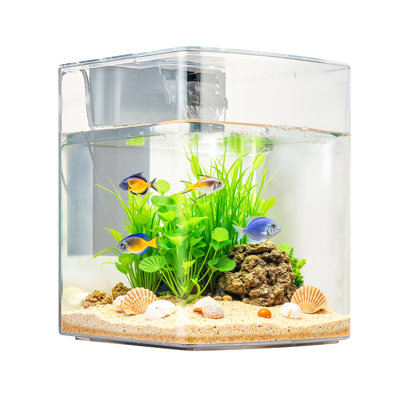 Fish Tank Aquarium, 2 Gallon Arch Ultra-Clear GPPS Starter Smart Tank Adjustable 3 Colour Lighting, Self Cleaning System Fishbowl for Freshwater & Saltwater Fish Home, Office, or Pet Use