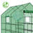 3-Tier Metal-Framed PE-Covered Walk-In Greenhouse With 12 Shelves-114486697