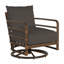 Malibu Swivel Patio Chair with Cushions-93646929-83259555