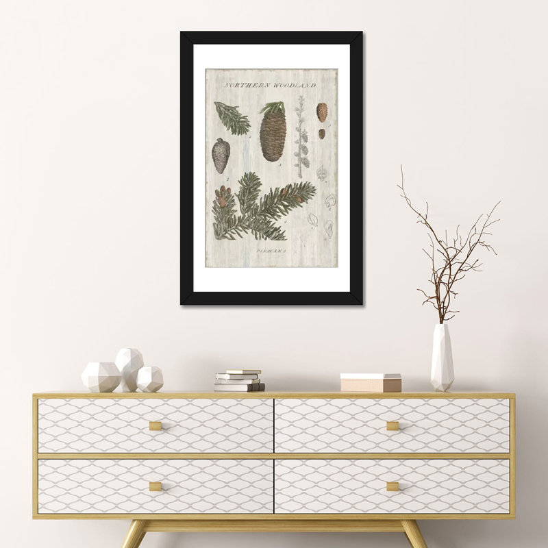Bois forestier iv, impression sur toile tendue, Papier d'art encadré noir, Blanc, H 24 po x l 16 po x P 1 po
