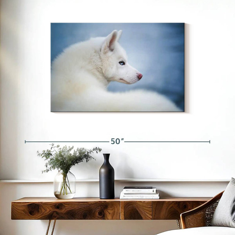 Pure White Husky, 24" H x 36" W