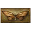Papillon rétro-reproduction d’art-29505322-35119109