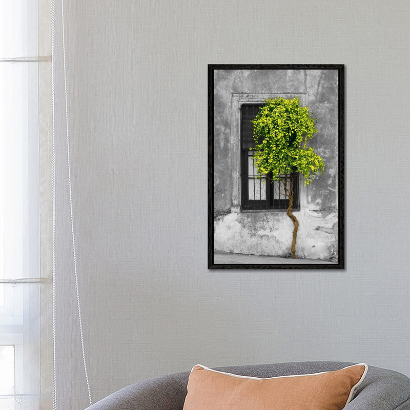 Panoramic Images - Print on Canvas, 66.04 cm H x 45.72 cm W, Black Framed