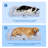 Cooling Orthopedic Dog Bed, Size L