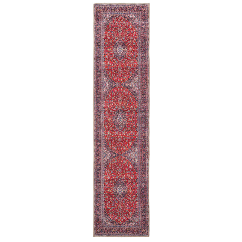 Carlester Oriental Cotton Area Rug, Runner 60cm x 240cm