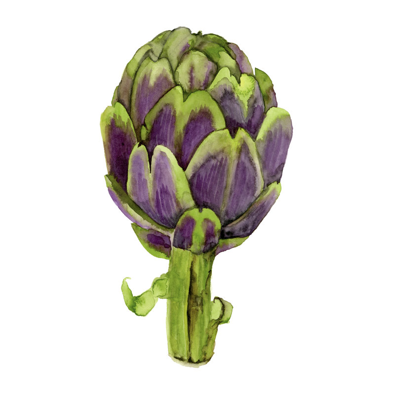 Veggie I - Wrapped Canvas Painting, 46cm H x 30cm W