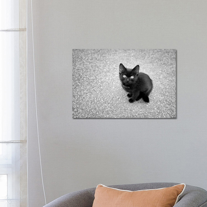 Just A Baby by Ben Heine - Print on Canvas, Wrapped Canvas, 66.04 cm H x 45.72 cm W x 1.91 cm D